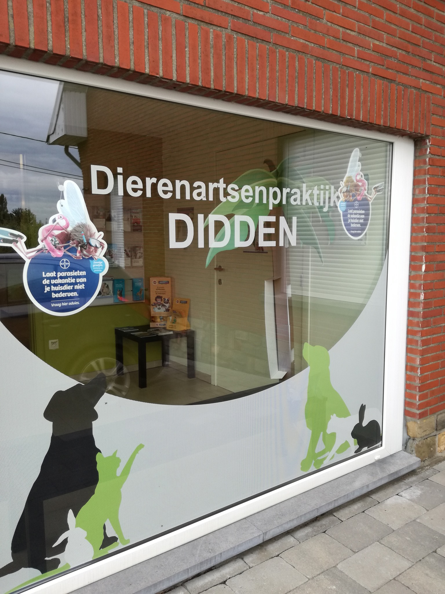 Een tevreden kat en hond samen